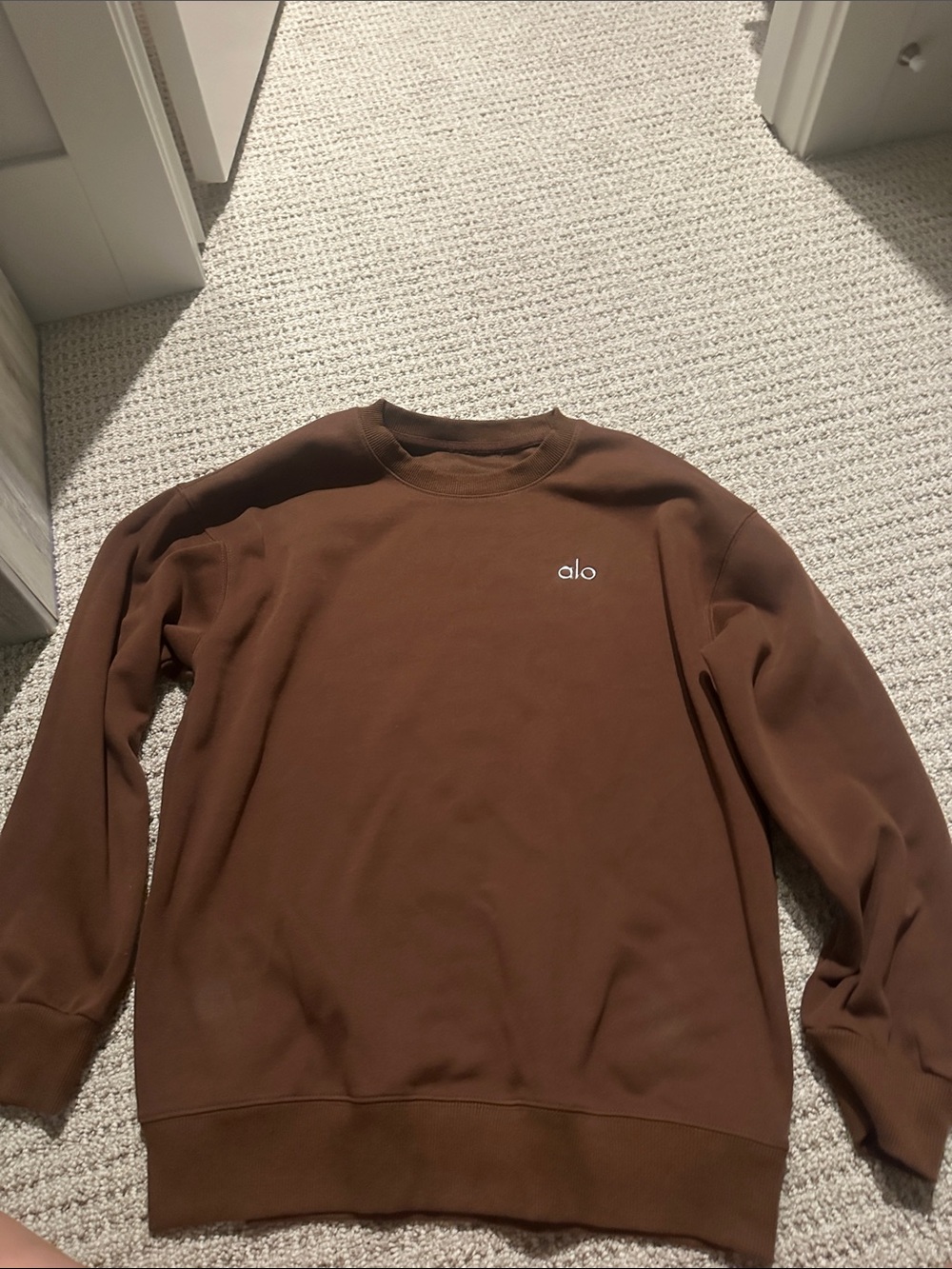 ALO Yoga Men's Crewneck Sweater in Brown